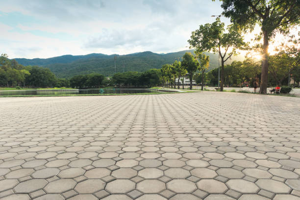 Trusted Bethel, WA Driveway Pavers Experts